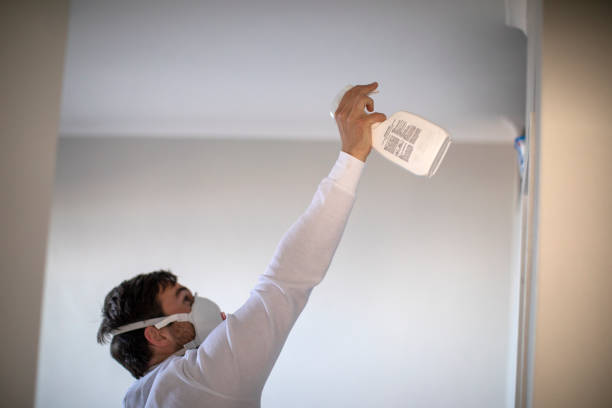 Professional Mold Removal in Sheldon, IL